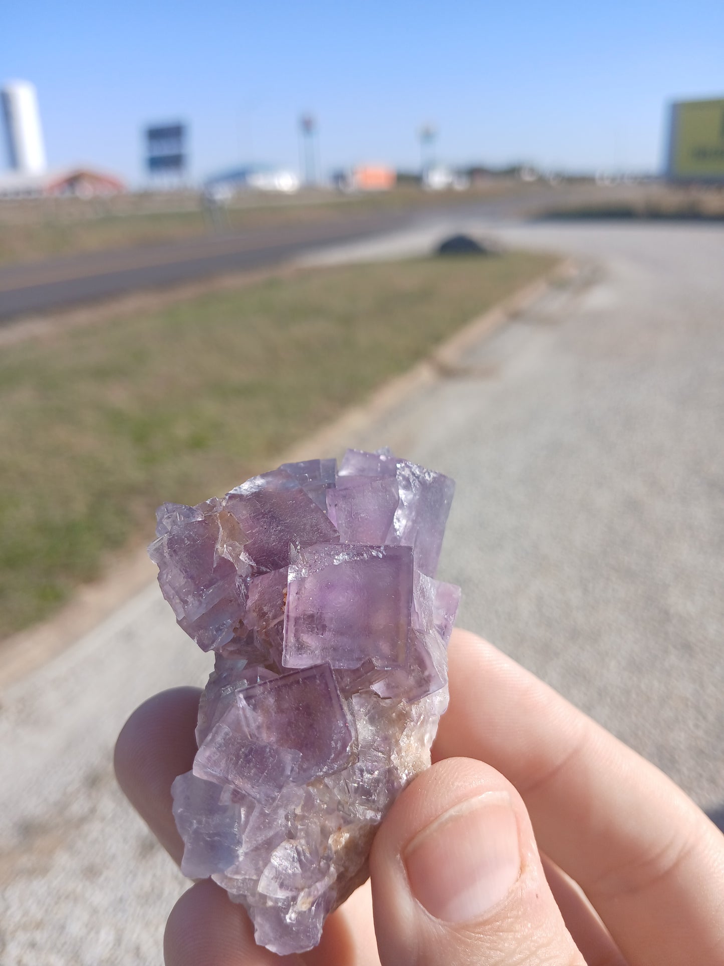 Fluorite on Matrix - New Mexico