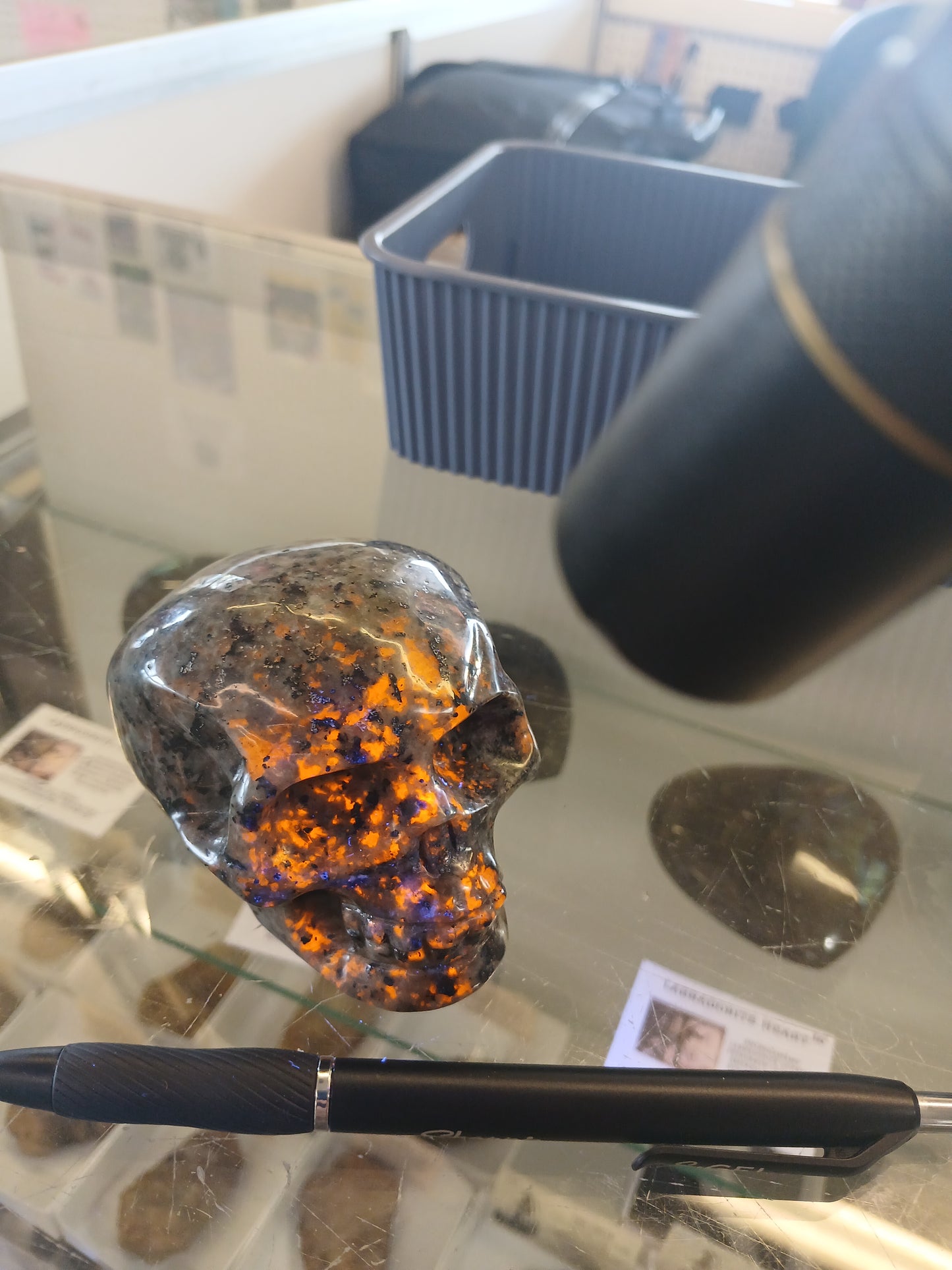 Syenite Skull with Fluorescent Sodalite