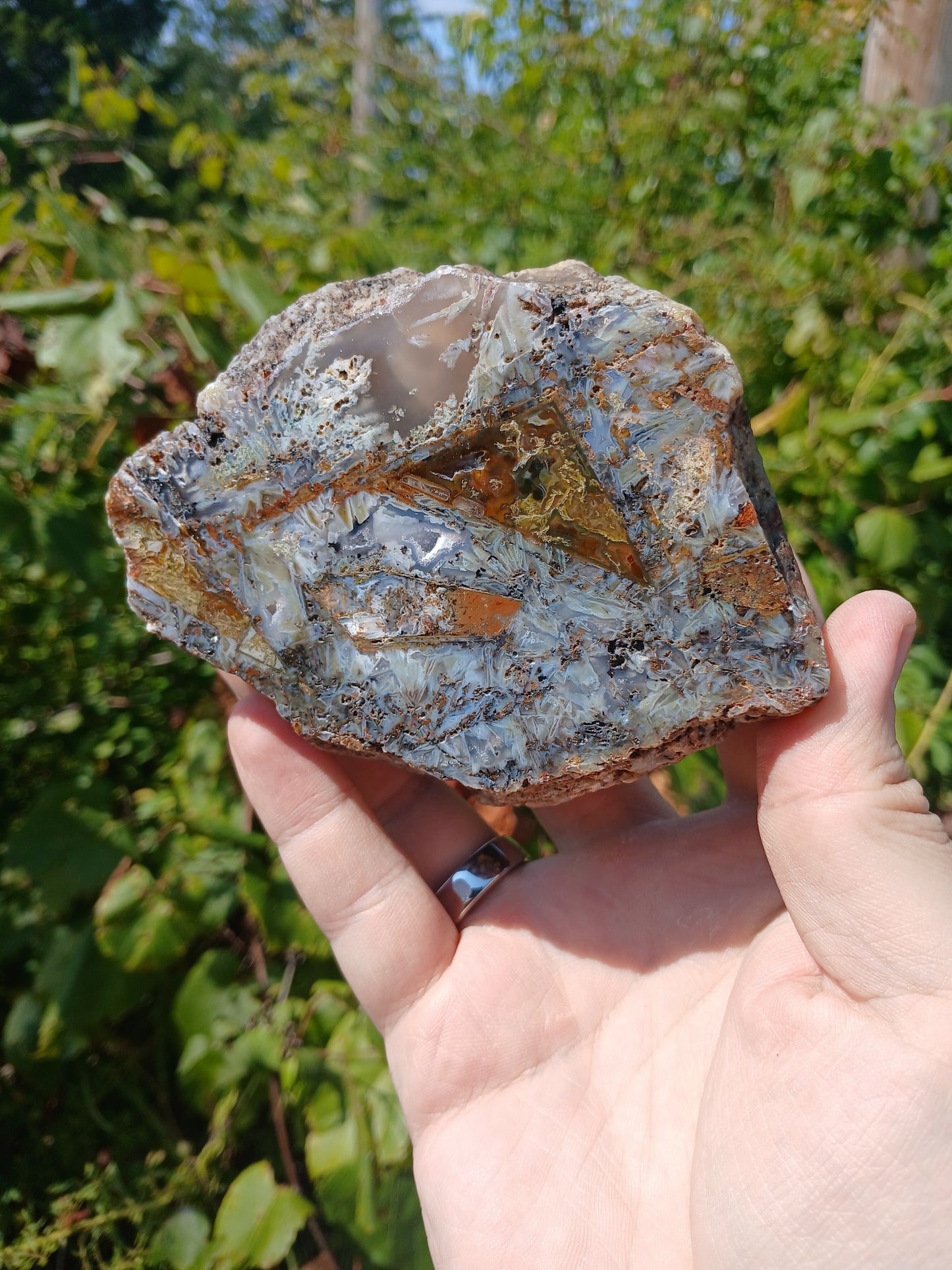 Turkish Agate Polished One Side With STICKS!