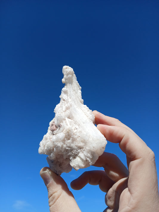 Ram's Horn Selenite With Minor Uranophane
