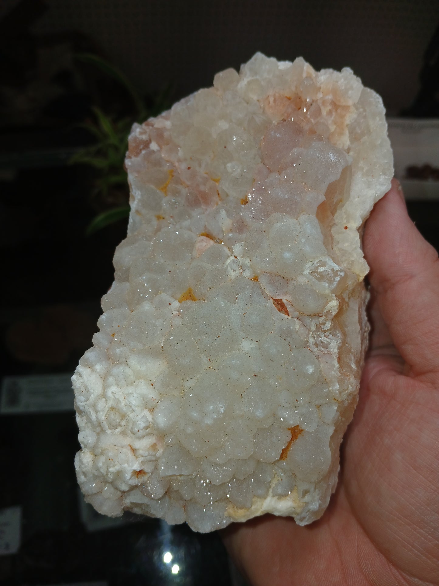 Drusy Coated Quartz on Lace Agate