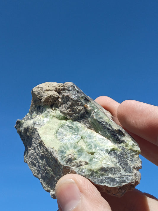 Wavellite on Matrix