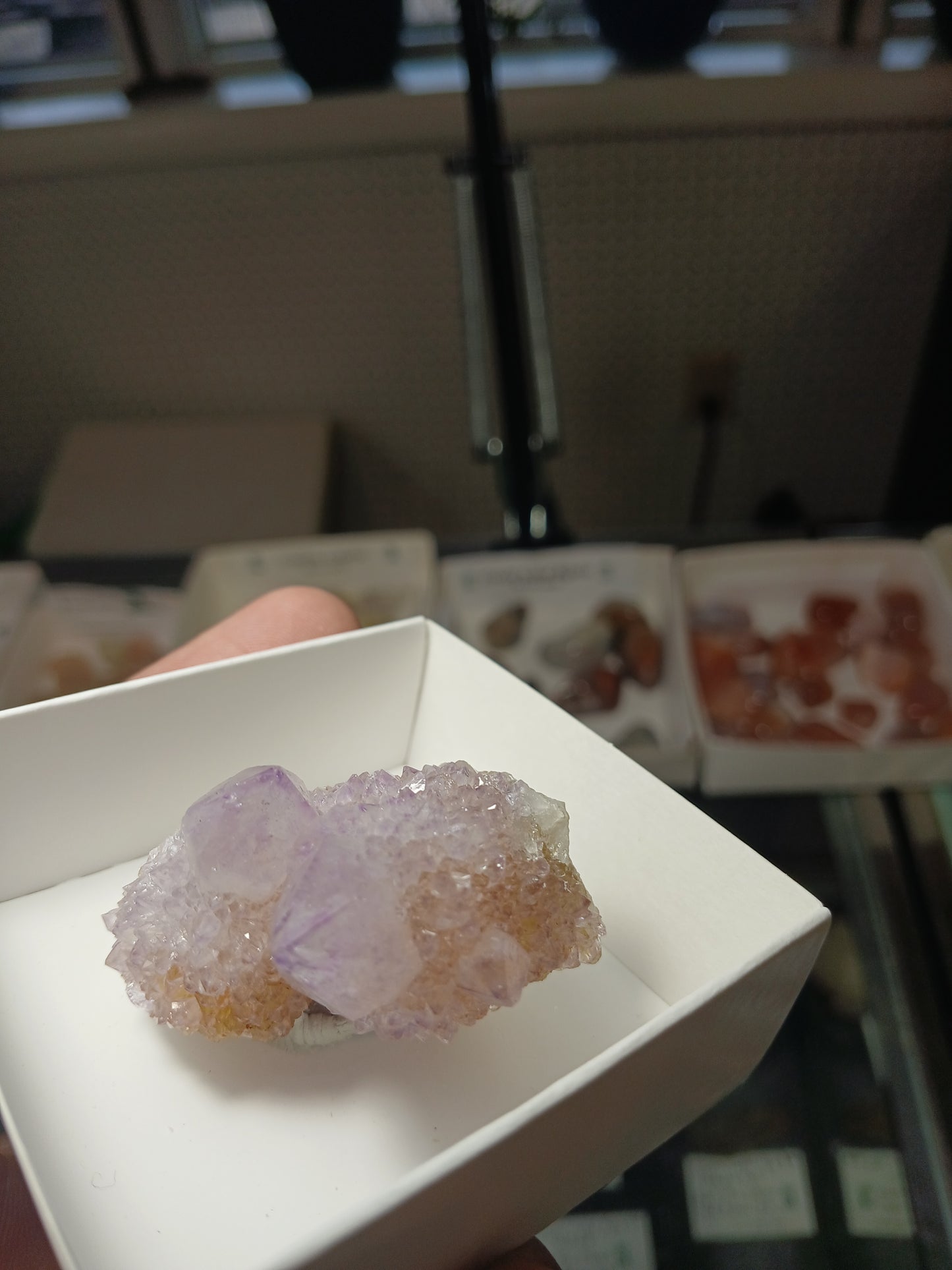 Cactus (Spirit) Quartz