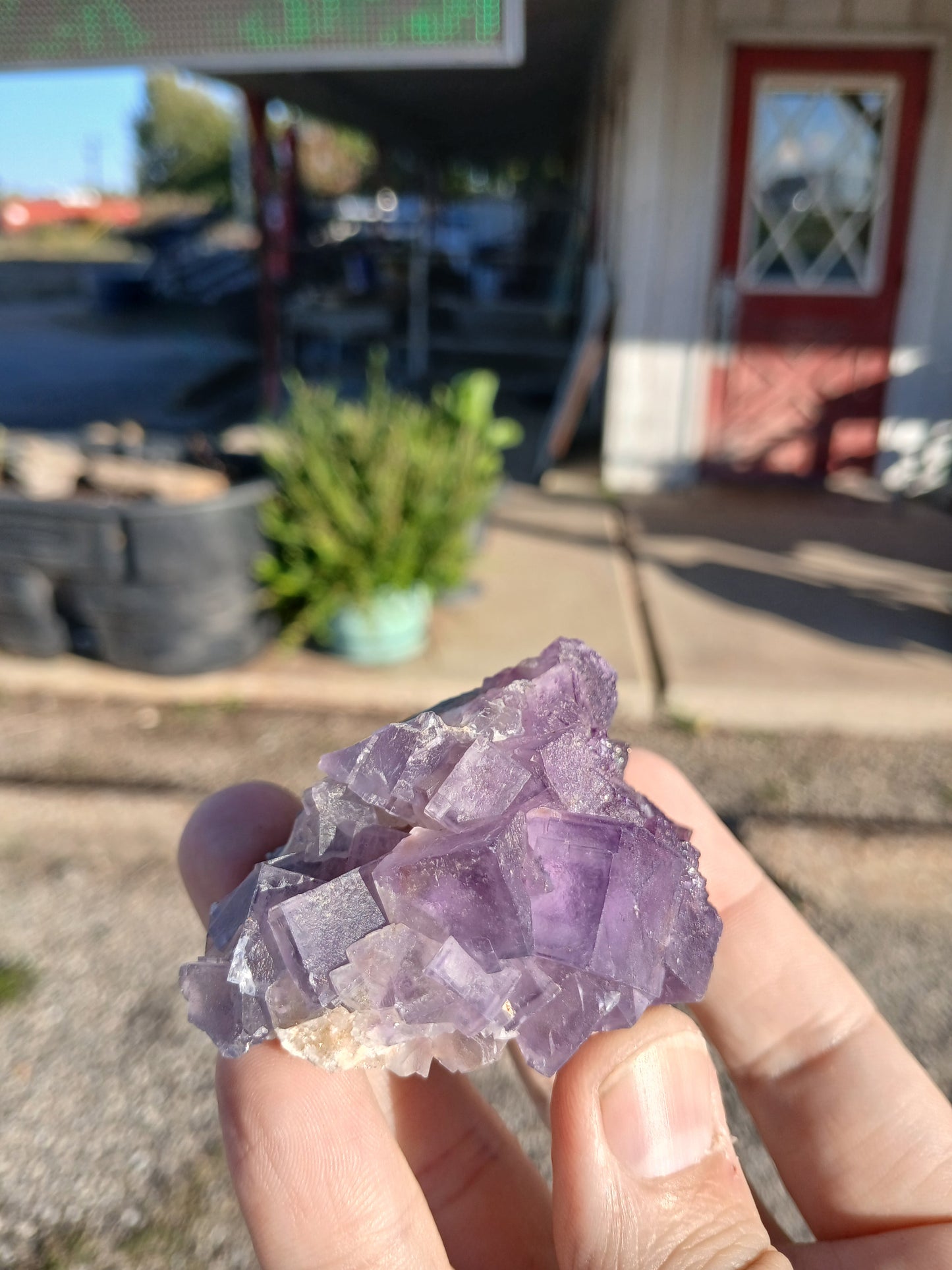 Fluorite on Matrix - New Mexico
