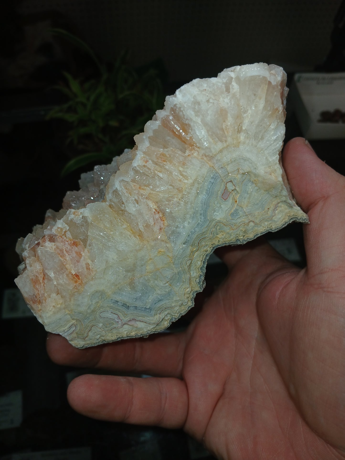 Drusy Coated Quartz on Lace Agate