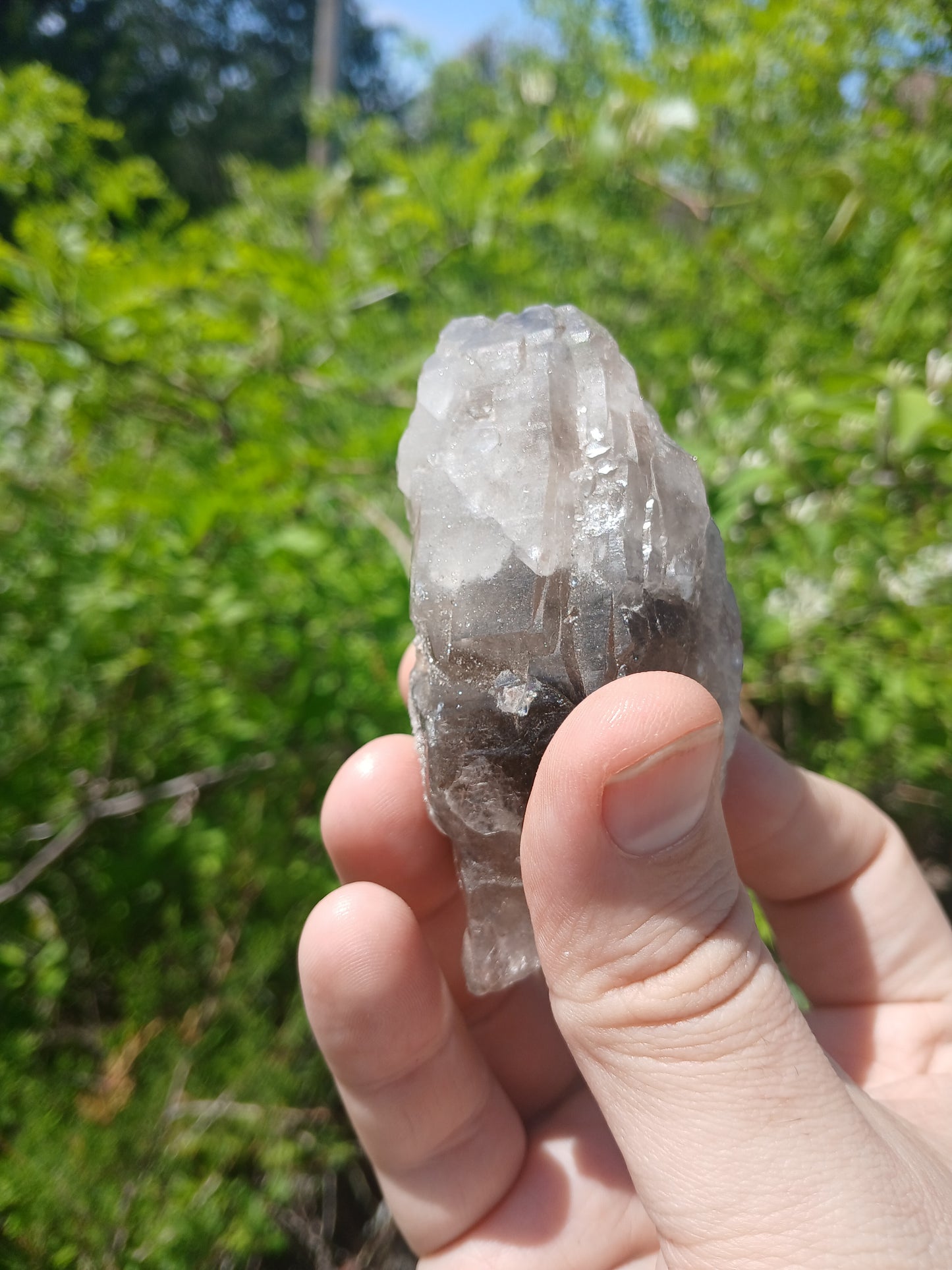 Smoky Quartz "Bouquet" With Minor Goethite