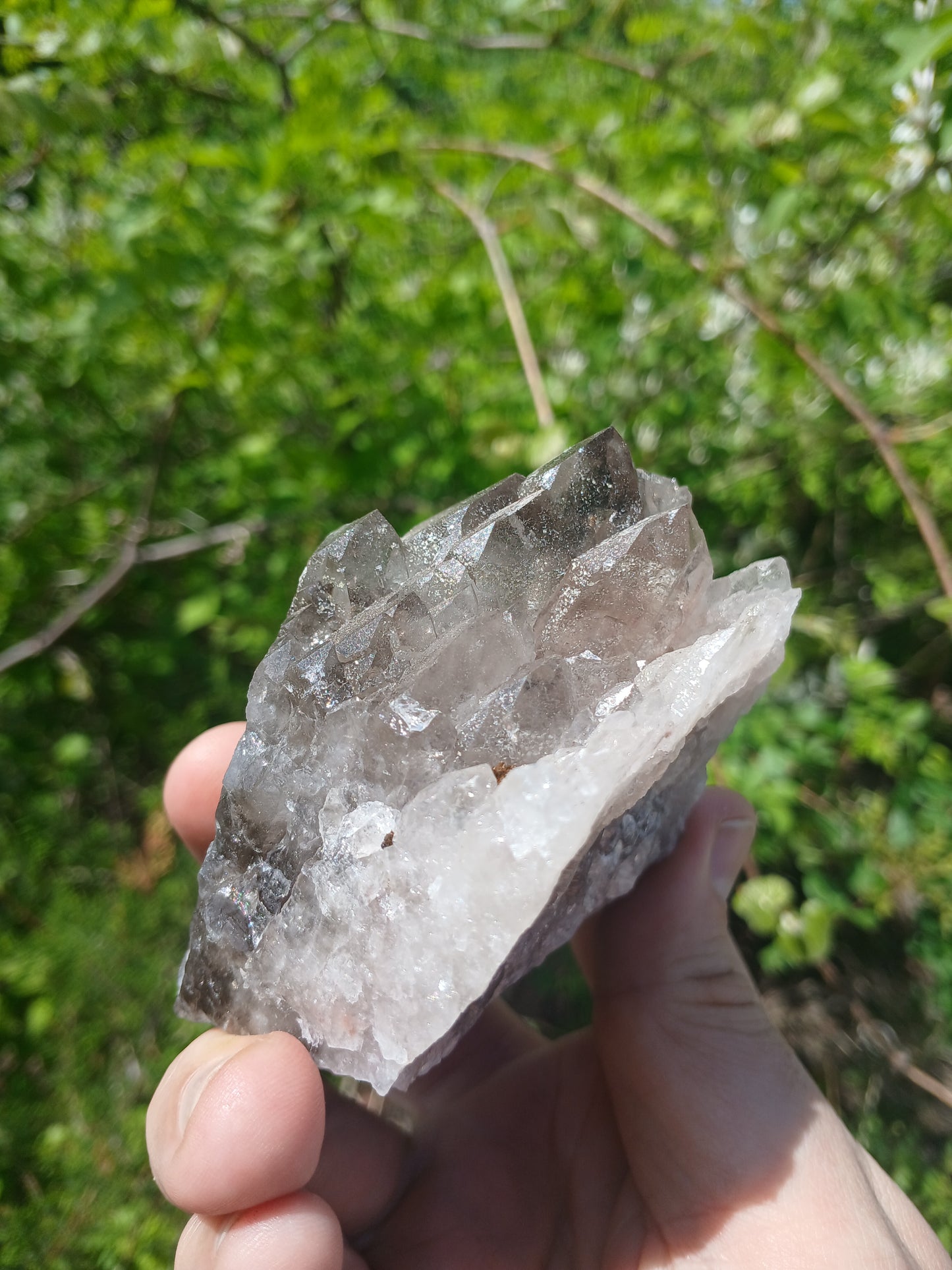Smoky Quartz Cluster