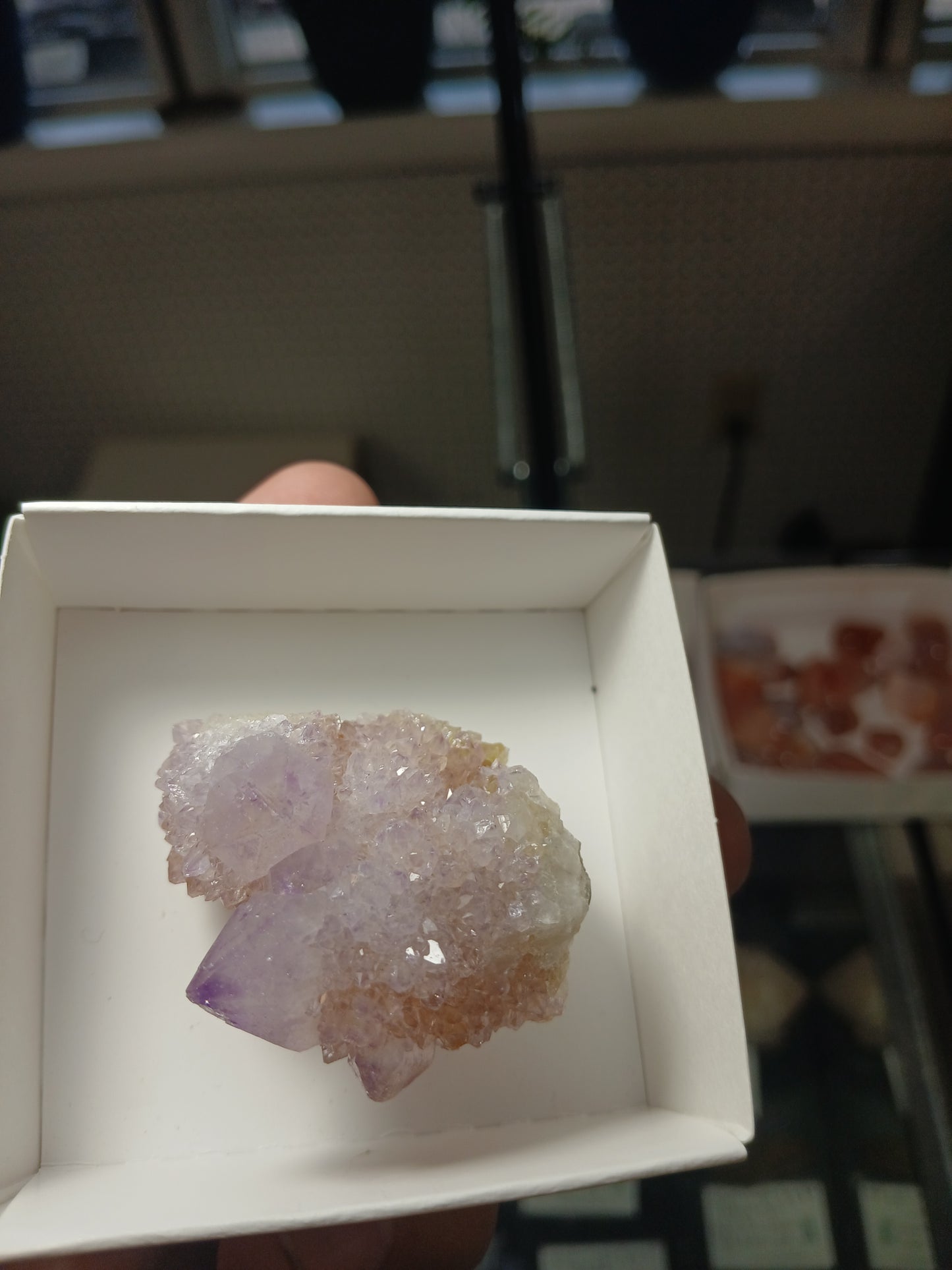 Cactus (Spirit) Quartz
