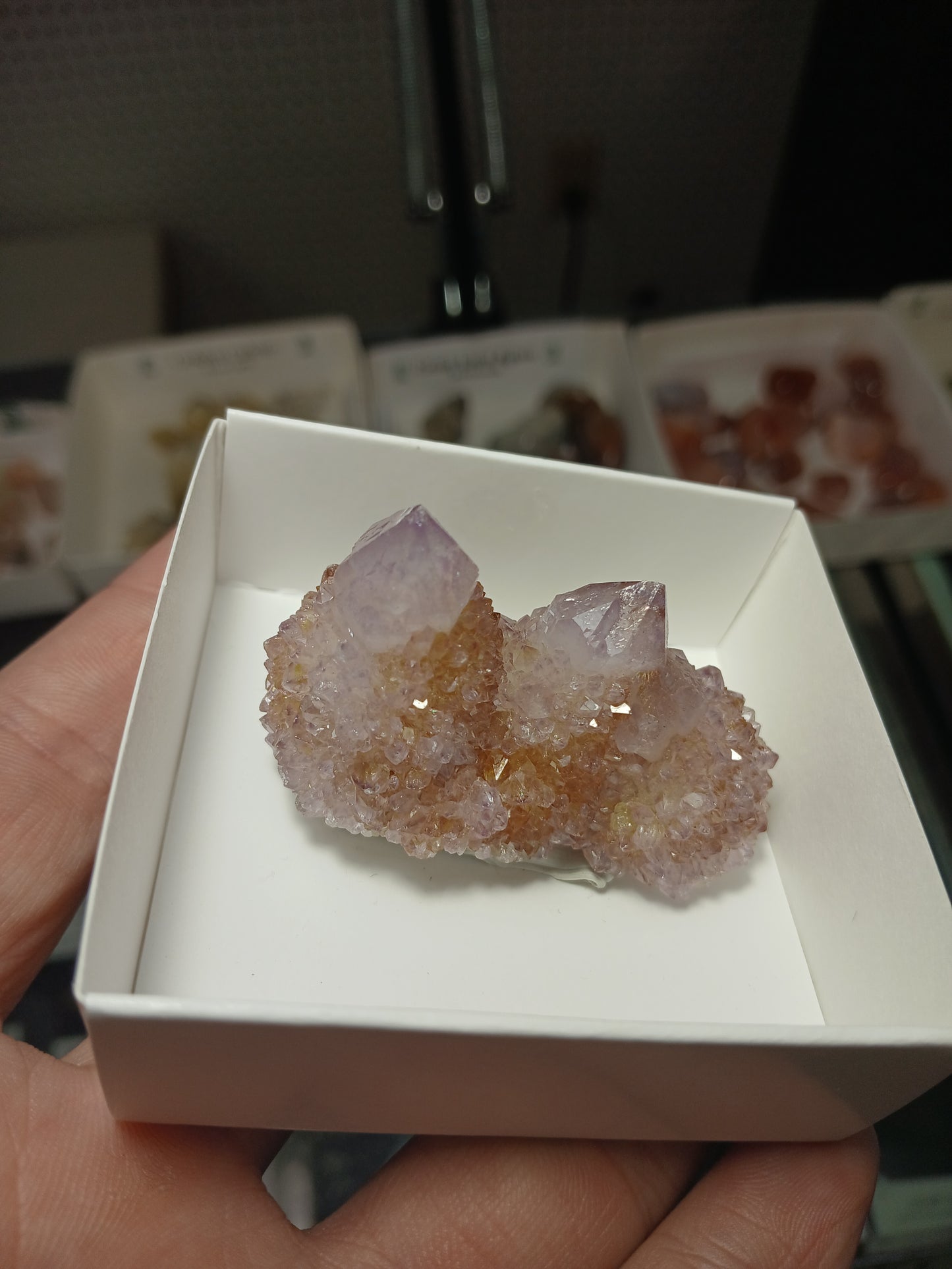 Cactus (Spirit) Quartz