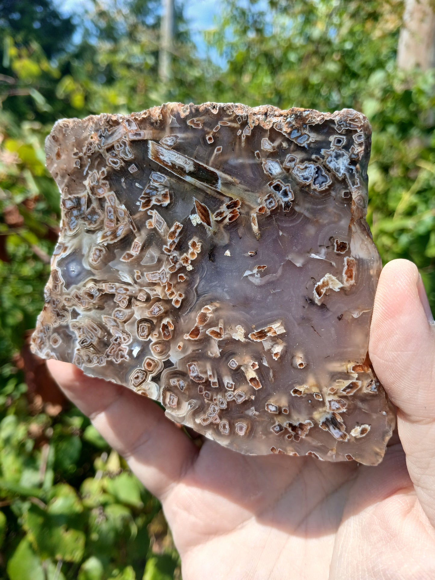 Turkish Agate Polished One Side