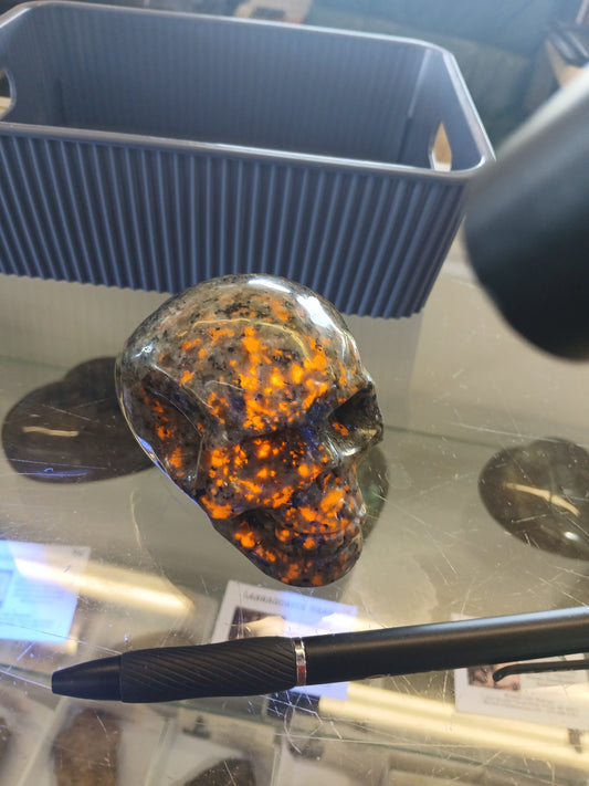Syenite Skull with Fluorescent Sodalite