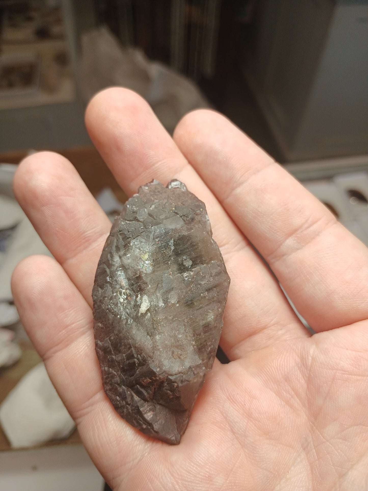 Double Term Smoky Quartz With Many Faces!