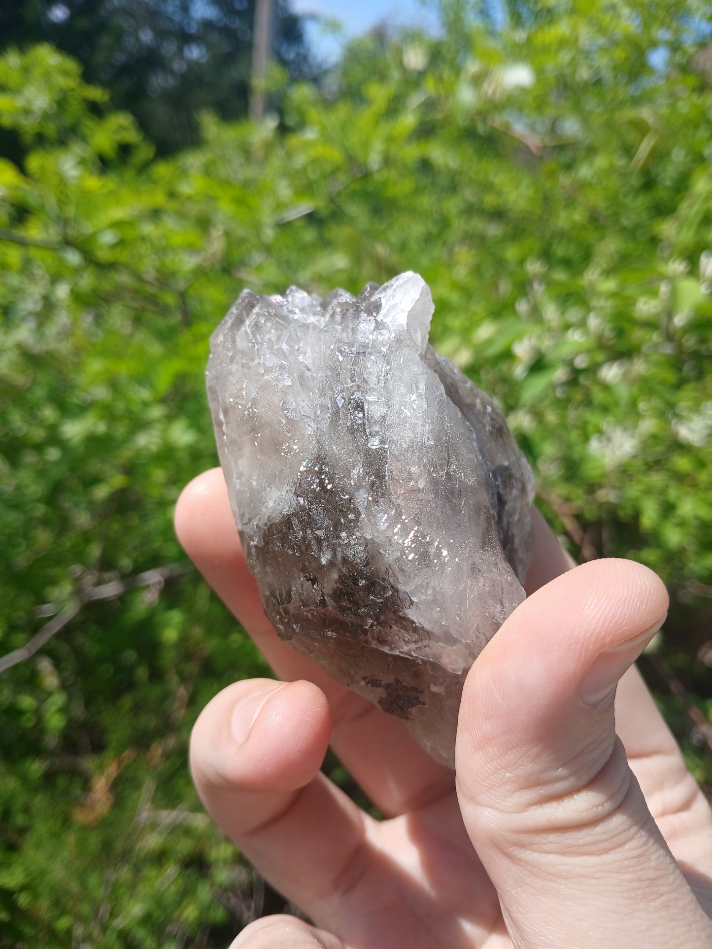 Smoky Quartz "Bouquet" With Minor Goethite
