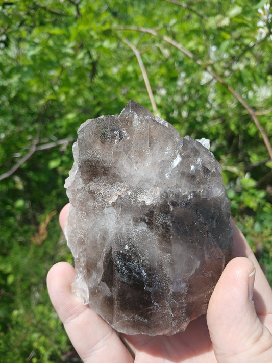 Smoky Quartz Cluster