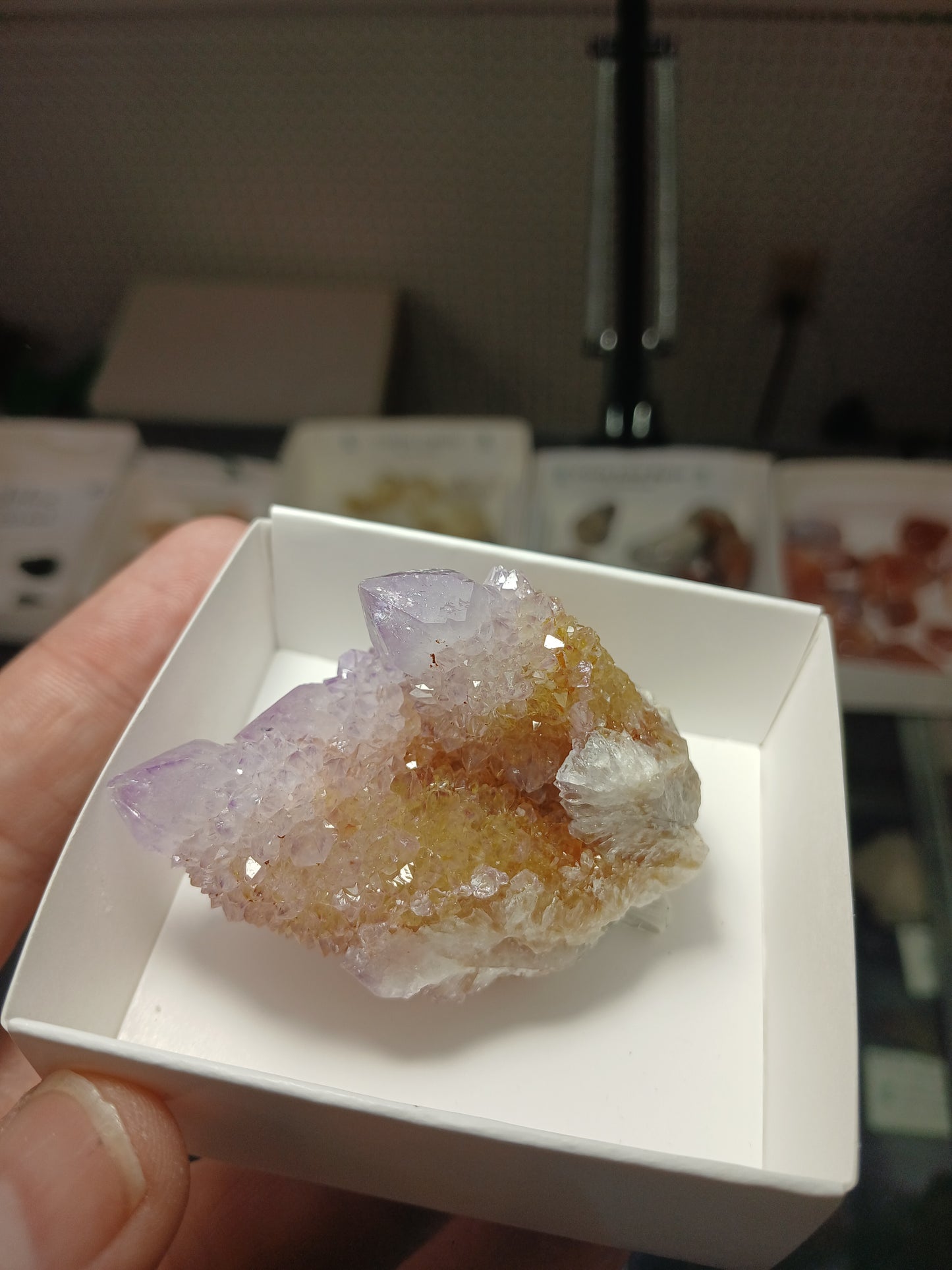 Cactus (Spirit) Quartz