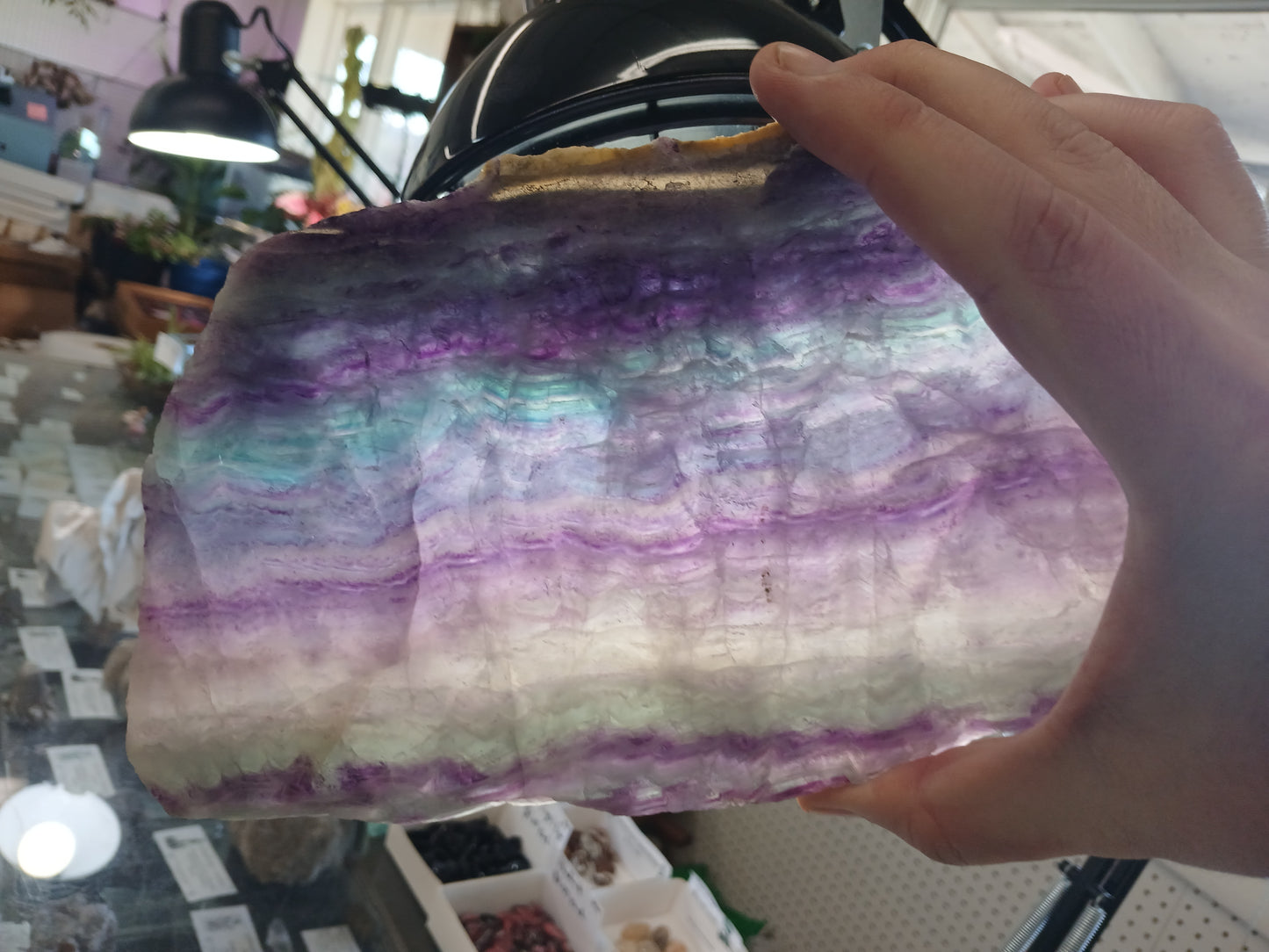 Large Polished Rainbow Fluorite Slab