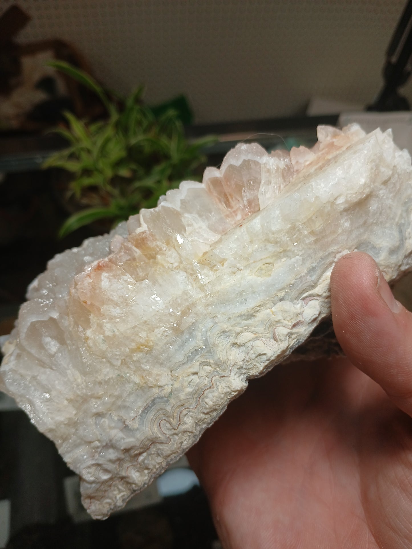 Drusy Coated Quartz on Lace Agate