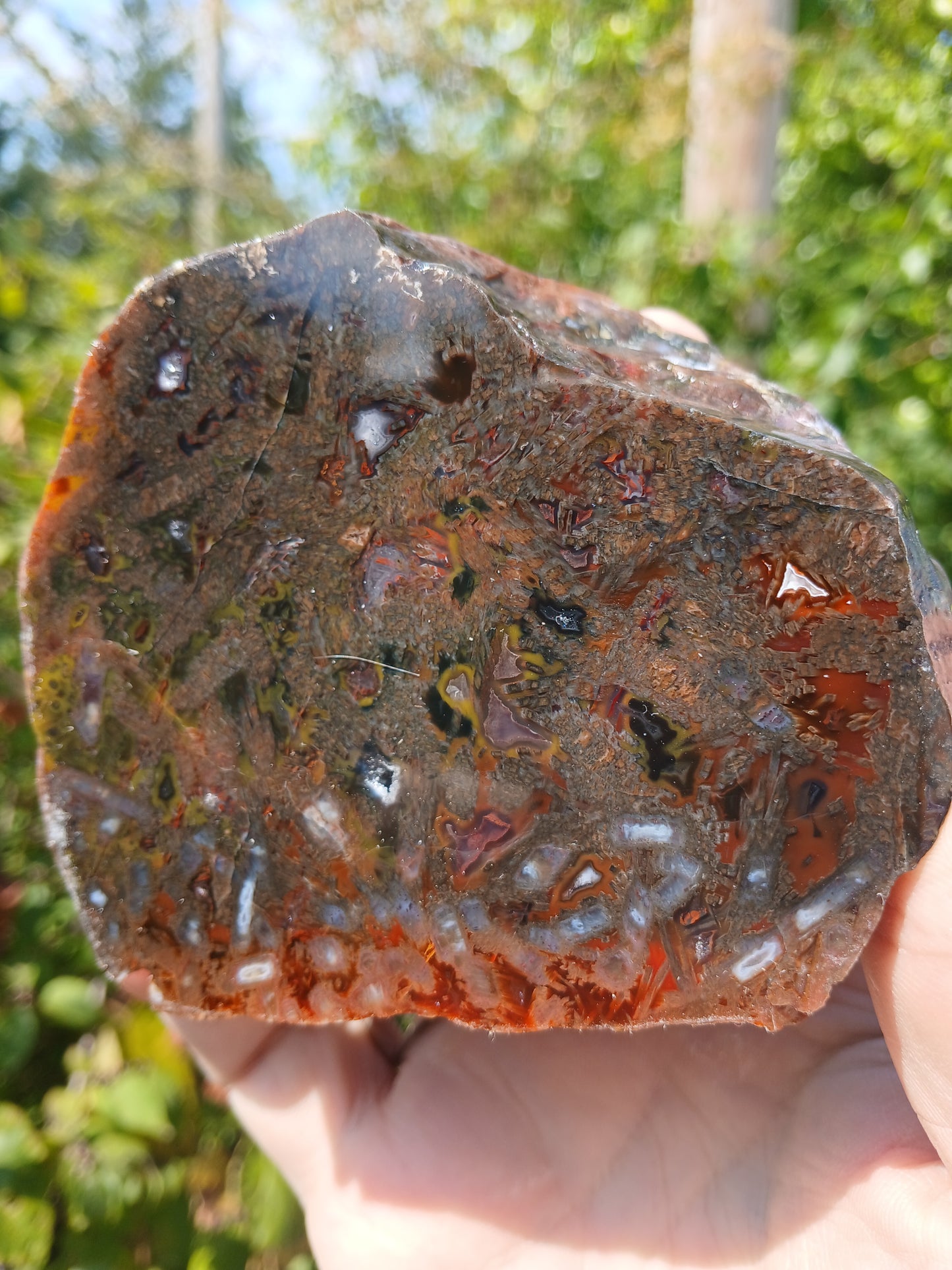 Turkish Agate Polished One Side