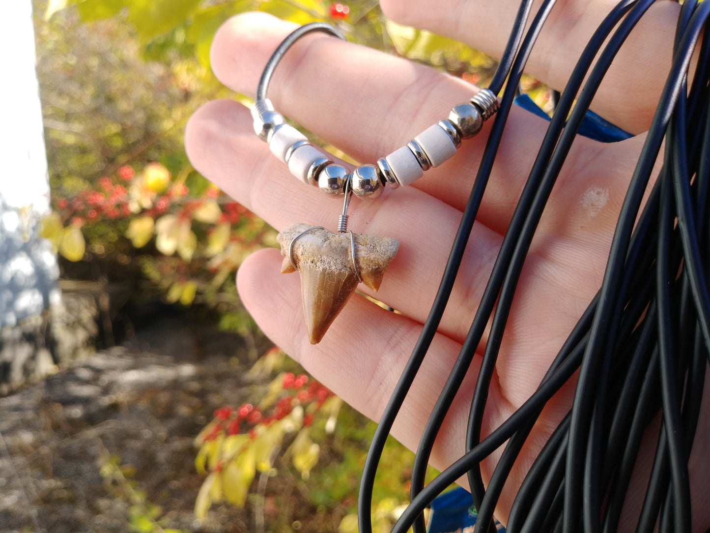 Fossil Shark Tooth Pendant/Necklace