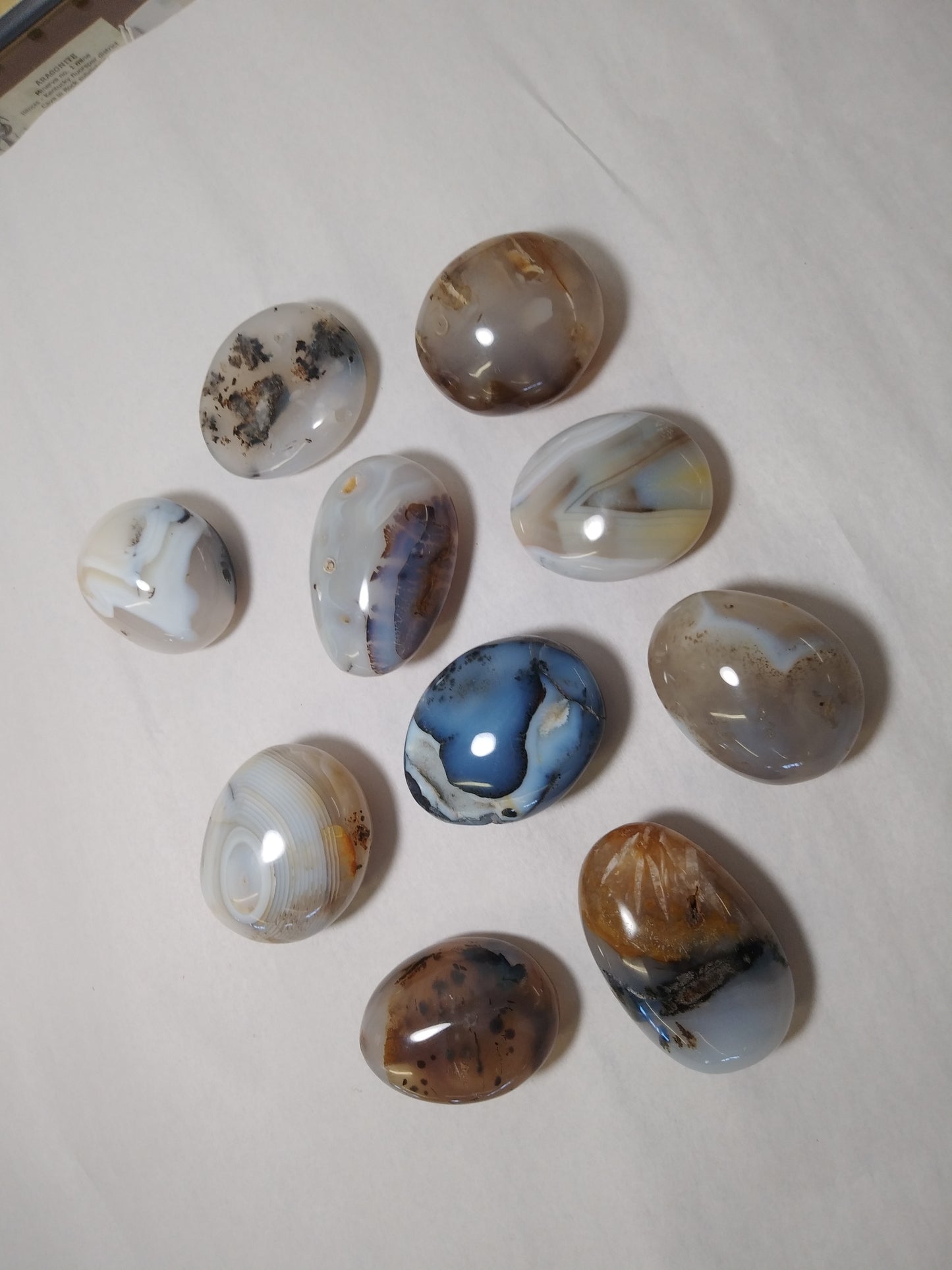 Dendritic "Moss" Agate Palm Stones