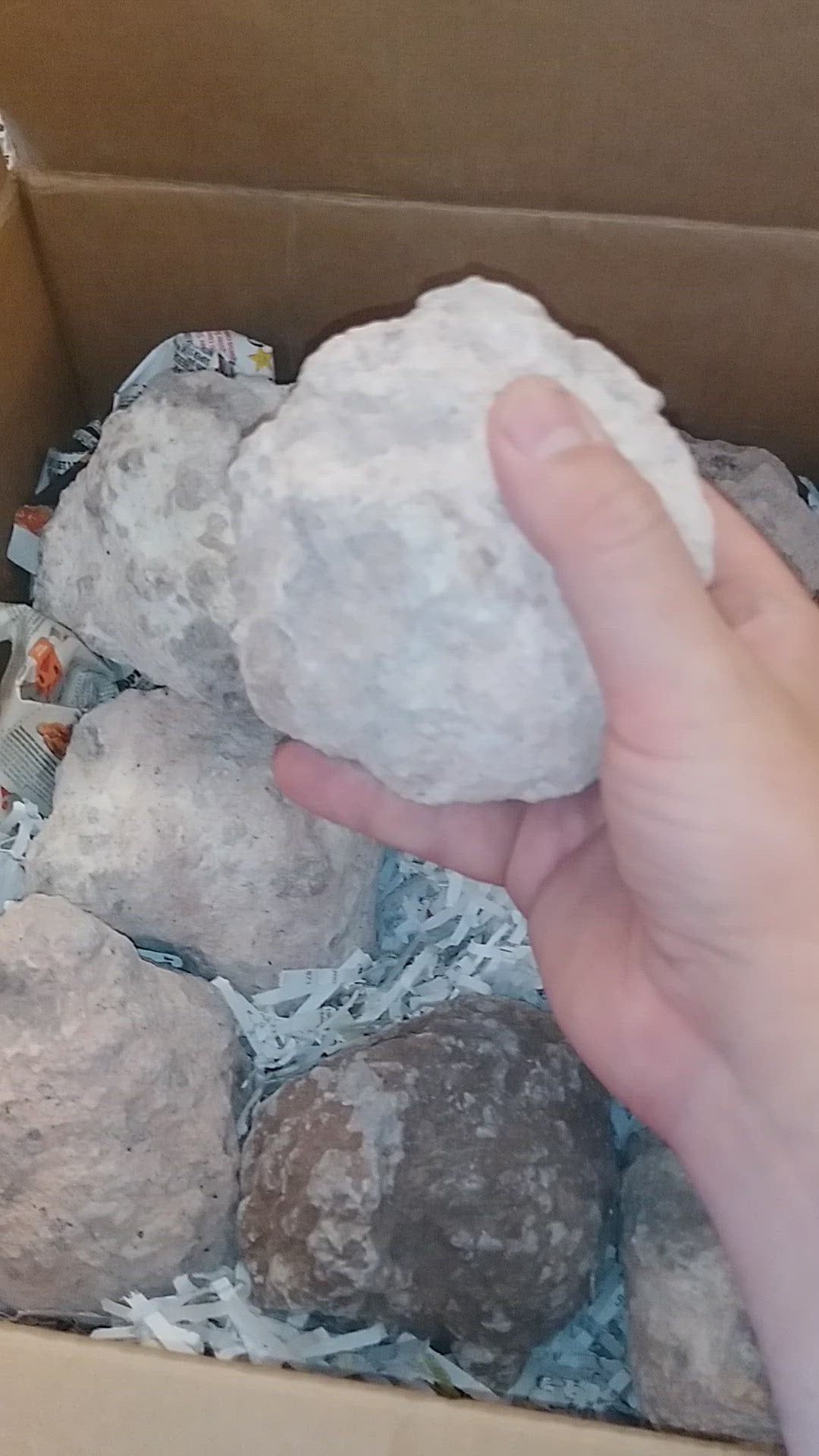 4-4.5 Inch Crystalline Bravo Geodes – Mooney Fine Mineral